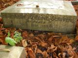 image of grave number 171878